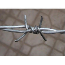 Bwg16 Single Electric Galvanzied Barbed Wire